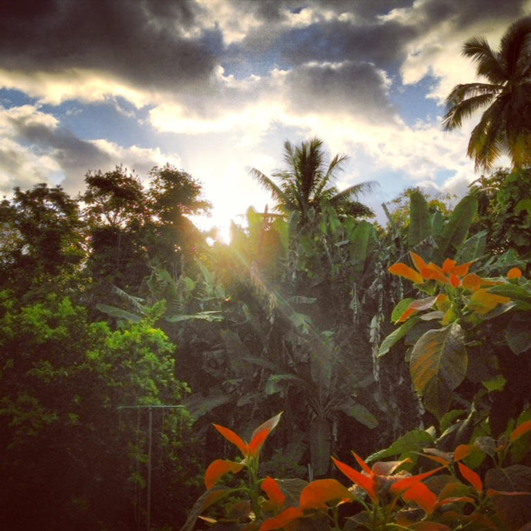 Heavenly Hana Paradise Oda fotoğraf